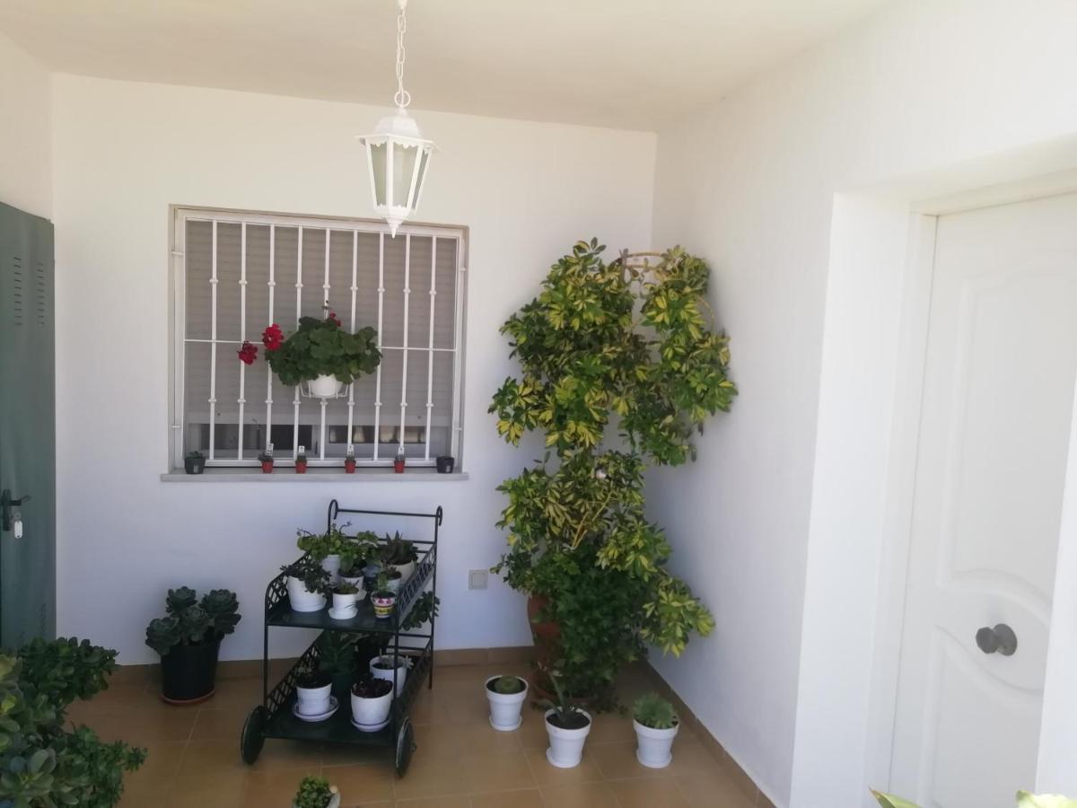 Las Gemelas De Terreros 1 San Juan de los Terreros Екстериор снимка