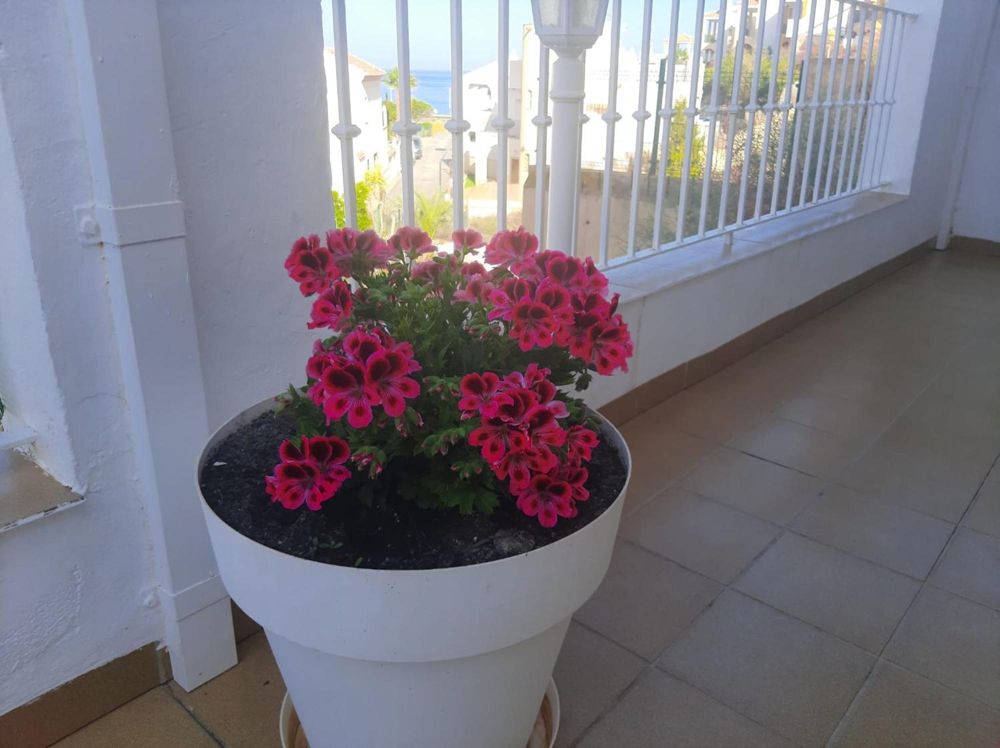Las Gemelas De Terreros 1 San Juan de los Terreros Екстериор снимка