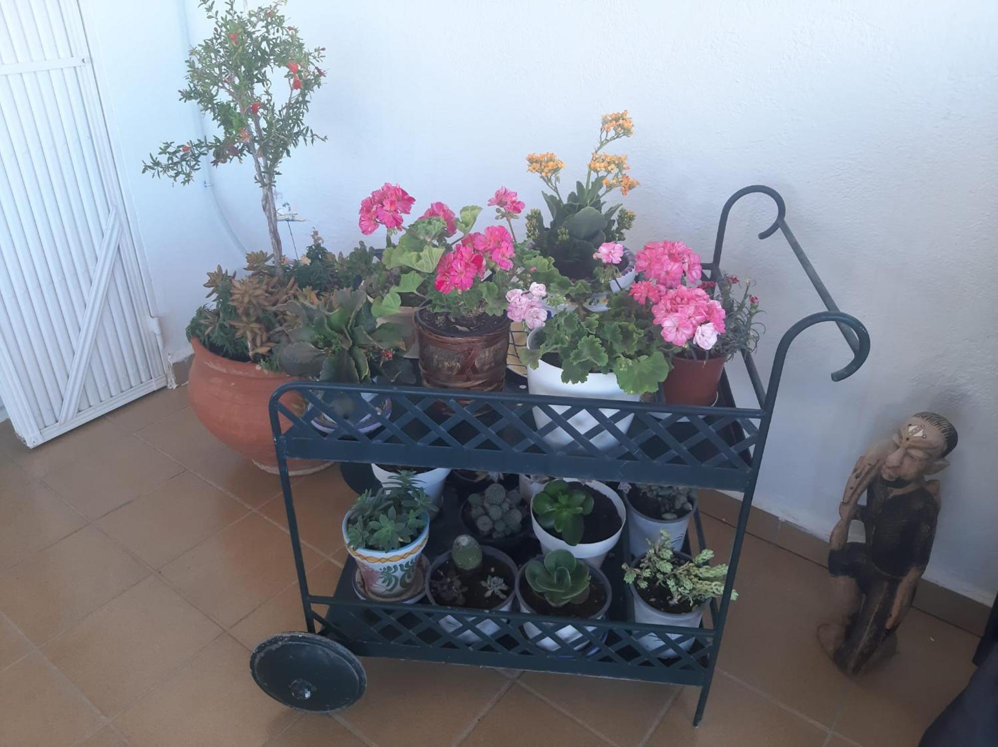 Las Gemelas De Terreros 1 San Juan de los Terreros Екстериор снимка