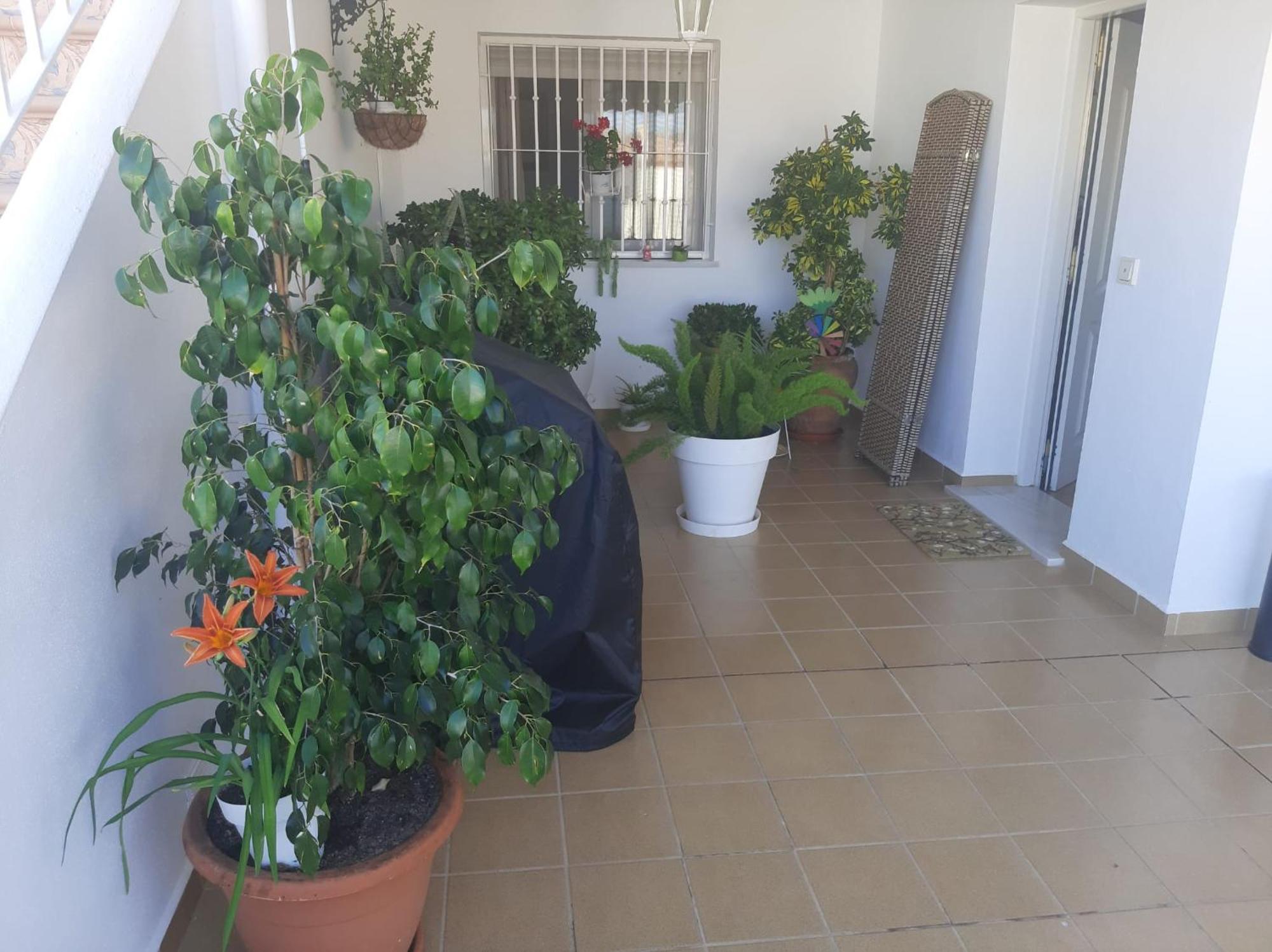 Las Gemelas De Terreros 1 San Juan de los Terreros Екстериор снимка